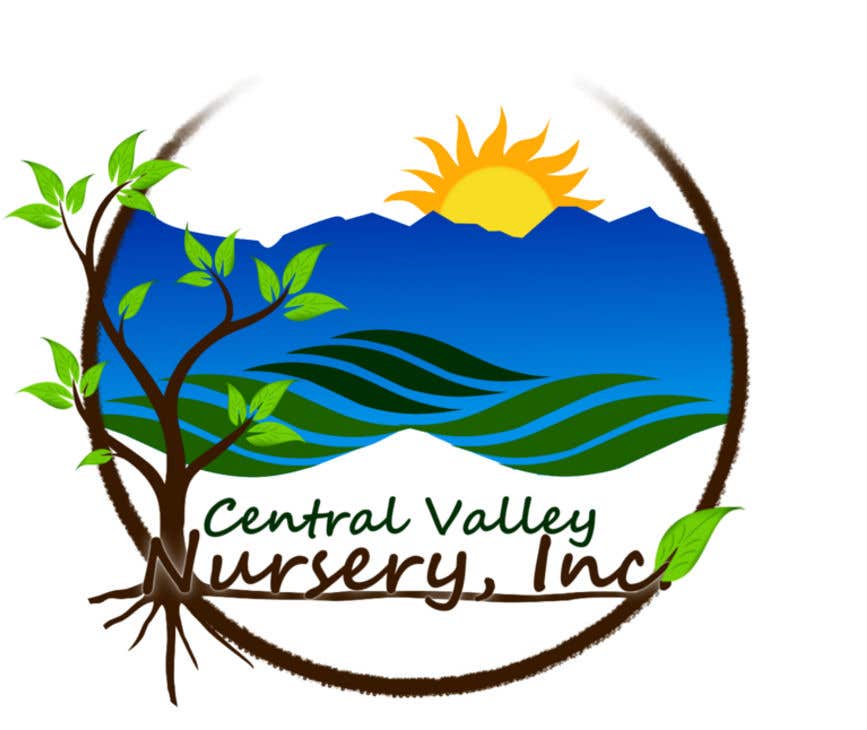 Contest Entry #7 for                                                 LOGO Design – Central Valley Nursery, Inc.
                                            
