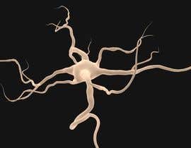 #6 za Modelling a 3d neuron as the reference od artseba185