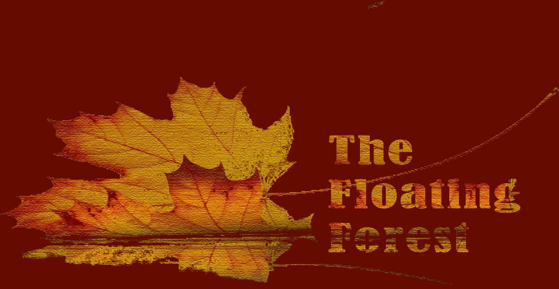 Bài tham dự cuộc thi #234 cho                                                 Logo Design for The Floating Forest
                                            