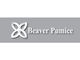 Náhled příspěvku č. 1 do soutěže                                                     Logo Beaver Pumice - Custom beaver logo
                                                