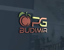 #26 para Design for Company Logo  -  OPG Budimir de mohibulasif