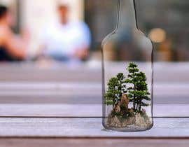 #5 for Forest in the Bottle by emastojanovska