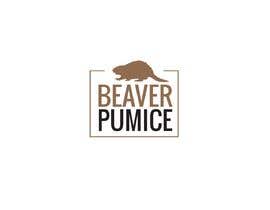 #1 untuk Logo Beaver Pumice - Custom beaver logo -- 3 oleh afsinsahin