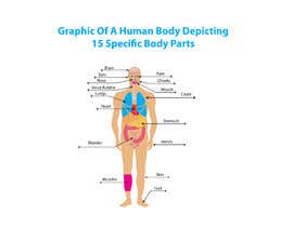 #60 for Body graphic for book about body awareness av golammostofa6462
