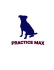 #293 for Practice MAX Logo by Bokul11