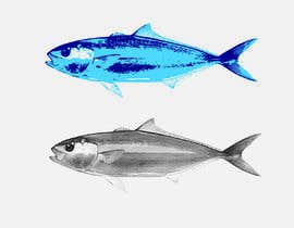 #4 for Graphic designer required to draw an image of a Kingfish that can be used for embroidery. by Dickson2812
