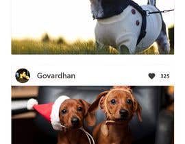 #3 para Dog fashion + social app design de gopi00712122