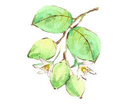 #50 for MAKE ME A HAND DRAWN IMAGE OF KAKADU PLUM FOR PACKAGE by aytenayten