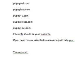 #101 ， looking for Avaialble domain names 来自 Jiboara