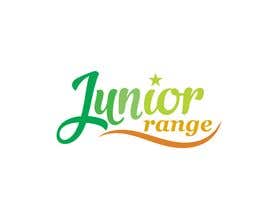 #233 cho Fashion Designer for Junior Range bởi monsurabul342