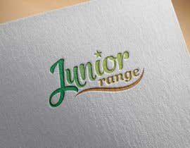 #239 cho Fashion Designer for Junior Range bởi monsurabul342