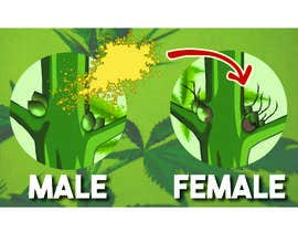 #5 สำหรับ Graphic Design: Draw a Marijuana crop that gets pollinated and goes to seed โดย inspiredvera