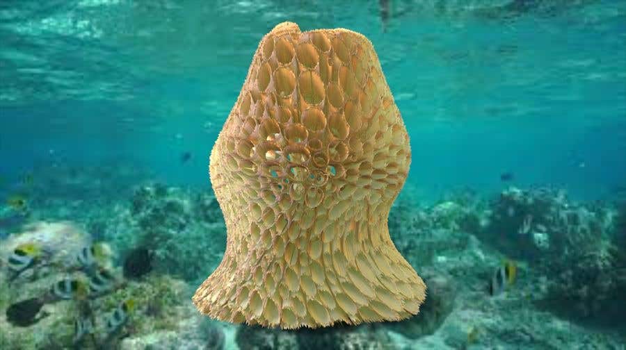 Wasilisho la Shindano #37 la                                                 3D design for a floating coral reef
                                            
