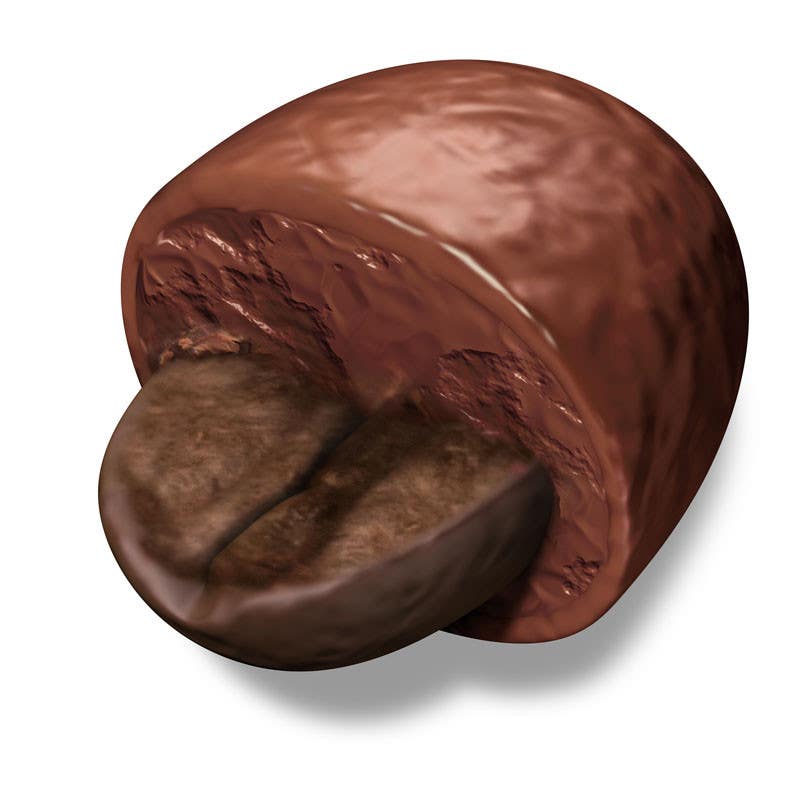 
                                                                                                                        Proposition n°                                            24
                                         du concours                                             HD Image of coffee bean coated in chocolate
                                        