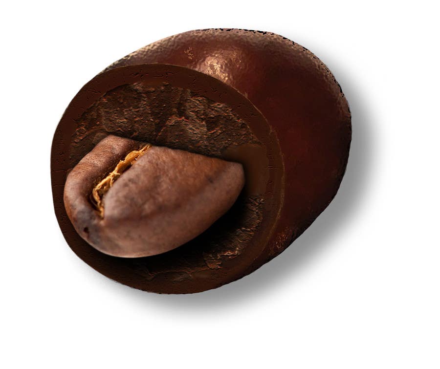 
                                                                                                                        Proposition n°                                            6
                                         du concours                                             HD Image of coffee bean coated in chocolate
                                        