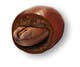 
                                                                                                                                    Icône de la proposition n°                                                14
                                             du concours                                                 HD Image of coffee bean coated in chocolate
                                            