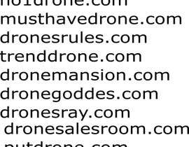 #39 dla Drone Store Name for Shopify Store ($500 Bonus Prize) przez niklau