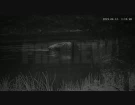 #4 pёr Add VFX ----------- 4 second video --- Change Buffalo into an ALIEN  ----- Film ----- Cinema nga Embos