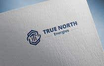 #133 dla Create a Logo for True North Energies przez adi2381
