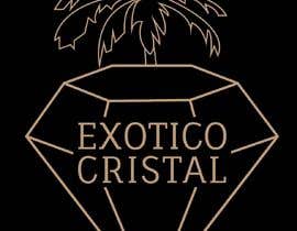 DianaGrossoArt tarafından Logo for my brazilian company: Exotico Cristal which means exotic crystal in english. Need a logo showing a gem or diamond with maybe a rainforest behind it, like exotic palm trees, etc. I’d like a color and black/white version. Original psd and png için no 22