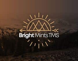 #531 for Create a logo - Bright Mind TMS by tithomoya