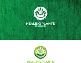 #840 for Brand and logo design - healing plants of Jamaica av sohelranafreela7