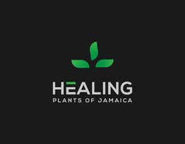 #809 pёr Brand and logo design - healing plants of Jamaica nga aftabahmed71090