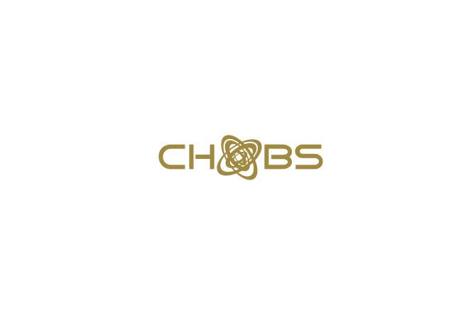 Contest Entry #303 for                                                 Design a new logo for Choobs Ltd. website.
                                            