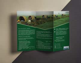 #14 Profile/Brochure Design for a Non-profit részére muradkglead által