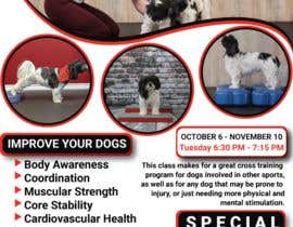 #232 para Flyer for my Canine Fitness Training Class de Yasmindills