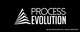 Tävlingsbidrag #21 ikon för                                                     Design a logo for Process Evolution
                                                