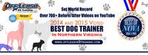 Graphic Design Inscrição do Concurso Nº78 para Design a Banner for Dog Training Business