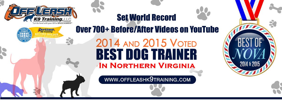 Inscrição nº 80 do Concurso para                                                 Design a Banner for Dog Training Business
                                            