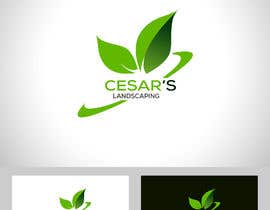 #14 untuk Logo for Landscaping Company oleh akask202