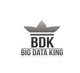 Miniatura de participación en el concurso Nro.68 para                                                     Website and Trade Stand Logo Design - Big Data King
                                                