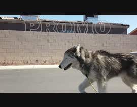 #2 for Creation of Promo video for dog seat belt af Eldwancymohamed
