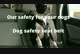 Miniatura da Inscrição nº 6 do Concurso para                                                     Creation of Promo video for dog seat belt
                                                