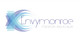 Miniatura da Inscrição nº 225 do Concurso para                                                     Design a Logo for envymonroe
                                                