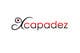 Predogledna sličica natečajnega vnosa #58 za                                                     Logo Design for Xcapadez Adult Chat Room
                                                