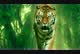 
                                                                                                                                    Contest Entry #                                                10
                                             thumbnail for                                                 Tiger compositing into jungle
                                            