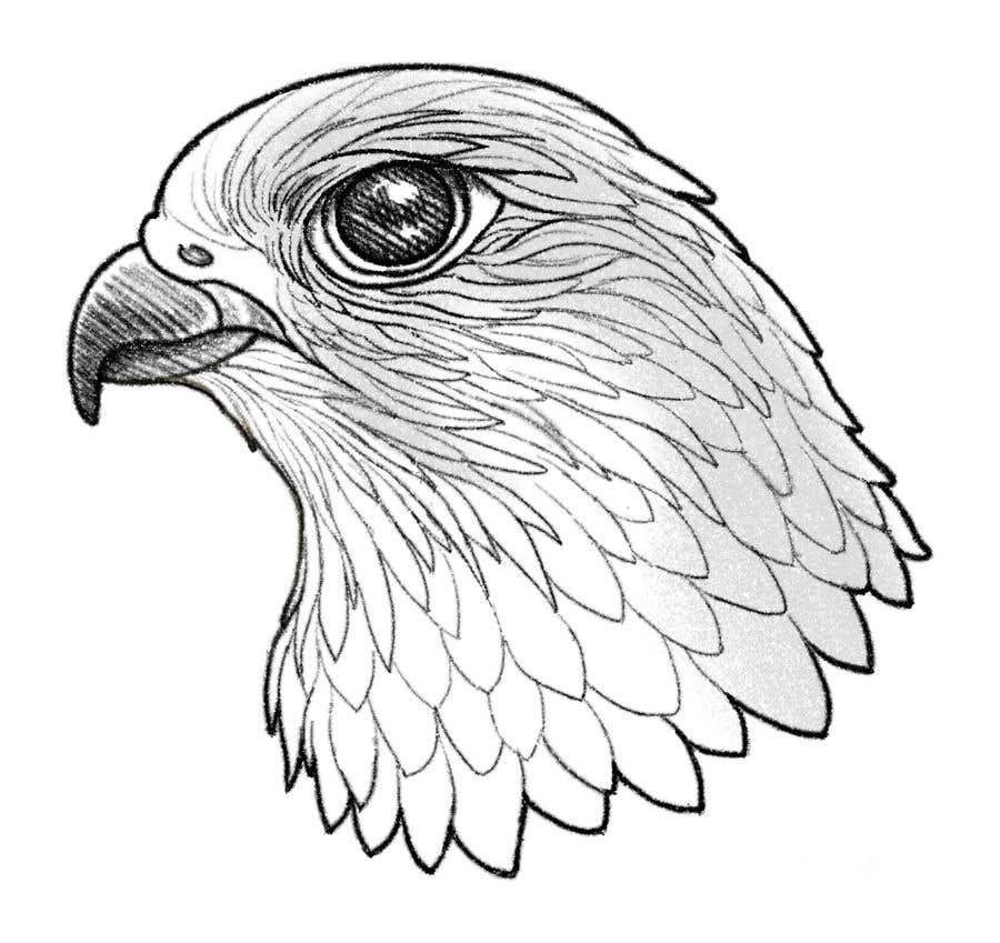 
                                                                                                                        Bài tham dự cuộc thi #                                            40
                                         cho                                             sketch of a falcon
                                        
