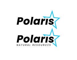 Nro 97 kilpailuun Polaris Logo Update - 26/11/2021 18:51 EST käyttäjältä dreammrkhan