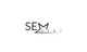 Imej kecil Penyertaan Peraduan #77 untuk                                                     Design a Logo for SEMstar
                                                