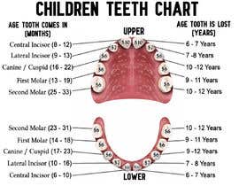 Nro 18 kilpailuun Pediatric Teeth Chart käyttäjältä daren2210