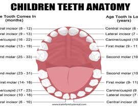 Nro 7 kilpailuun Pediatric Teeth Chart käyttäjältä raihandbl55