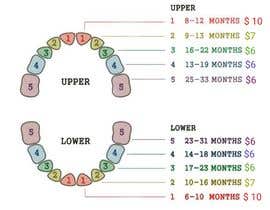 Nro 3 kilpailuun Pediatric Teeth Chart käyttäjältä imzoro