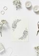
                                                                                                                                    Ảnh thumbnail bài tham dự cuộc thi #                                                31
                                             cho                                                 Botanical/Floral Line Art Illustration for Stationery
                                            