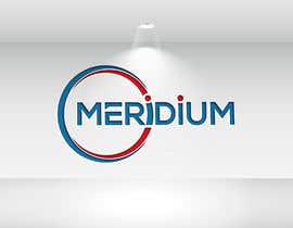 Nro 528 kilpailuun Logo Design et Charte Graphique pour Meridium käyttäjältä mahburrahaman77
