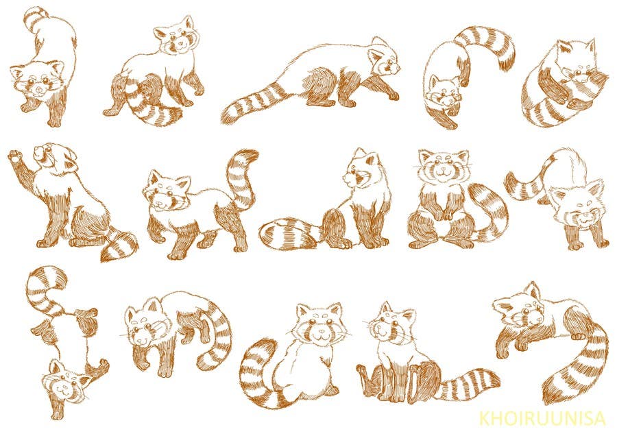 Penyertaan Peraduan #13 untuk                                                 Draw 3 rough sketches/outlines (can be a picture of pencil on paper) of a Red Panda in fun poses
                                            