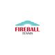 Kilpailutyön #142 pienoiskuva kilpailussa                                                     Fireball T-Shirt Logo Designs
                                                